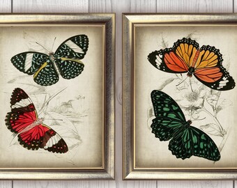 DOWNLOAD Butterfly Print SET of 2 Vintage Butterflies Printable Wall Art, Home Decor Forest Insect Print, Digital Art Printable Images DIY