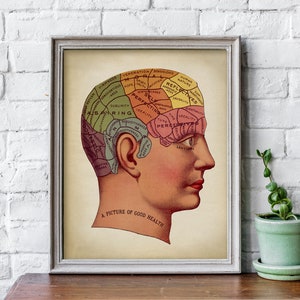 Phrenology Medical Print, PRINTABLE Vintage Illustration, Head Anatomy Illustration, Brain Doctor Science Art, Human Anatomy, Doctor Gift