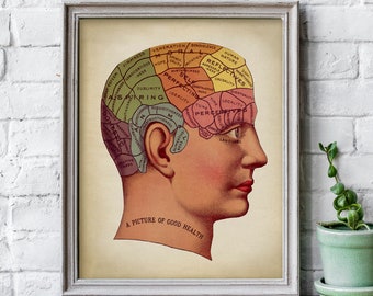 Phrenology Medical Print, PRINTABLE Vintage Illustration, Head Anatomy Illustration, Brain Doctor Science Art, Human Anatomy, Doctor Gift