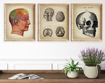 Anatomy Print, SET of 3 PRINTABLE Vintage Head Medical Illustration, Human Skull Brain Anatomy Illustration, Science Art, Human Anatomy.