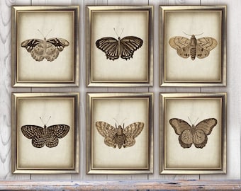 DOWNLOAD Butterfly print SET of 6, Old Style Butterflies Printable Images, Rustic Wall Decor, Decor Wall Hanging, Vintage Digital Image DIY