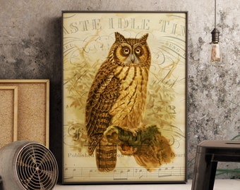 Antique Owl Collage Print, Owl over an aged music sheet, PRINTABLE Vintage Nocturnal Bird Art