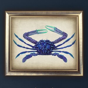 マリンプリント、デジタルヴィンテージクラブプリント、バスルームの装飾、海の生き物の自然アート、航海用プリント可能な壁アート DIY をダウンロード