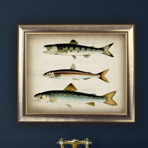 DOWNLOAD Fishes Print, Vintage Fish Digital Print, Bathroom Decor, Ocean Sea Life Art, Beach Home, Marine Nautical Printable Wall Art DIY