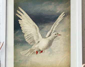 White Dove Print, Printable Bird Digital Download, Pigeon Art, Dove Painting, Antique Bird Printable Wall Decor, Peace Dove, Vintage print
