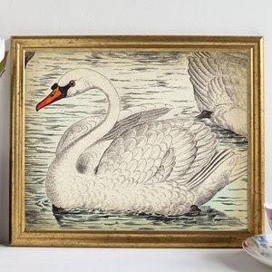 White Swan Print, Printable Bird Digital Download, Swan Art, Swan Vintage Drawing, Antique Duck Printable Wall Decor, Vintage print