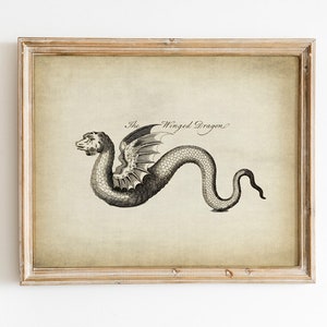 Winged DRAGON Print DIGITAL DOWNLOAD, Dragon Art Print, Mythical Monster Printable Vintage Art Illustration, Mythological Animal Wall Decor