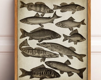 Vintage Bathroom Fish Wall Decor - Etsy