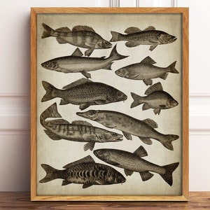 DOWNLOAD FISH Print, Vintage Fishes Print, Bathroom Decor, Ocean Sea Life Nature Art, Marine Nautical Printable Wall Art DIY