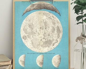 Astronomy Moon Print, PRINTABLE Vintage Illustration, Full Moon Art, Moon Phases, Lunar Surface, Moon Drawing