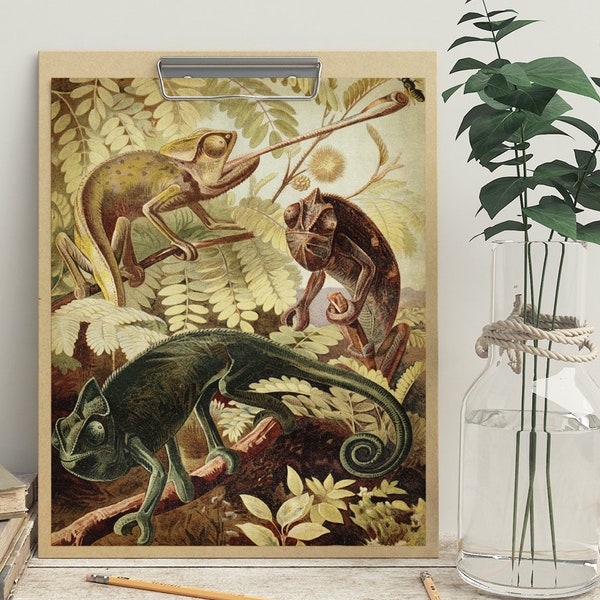 Chameleons Print, Printable Jungle Forest Lizard Chart Digital Download, Chameleon Illustration, Chameleon Art Print