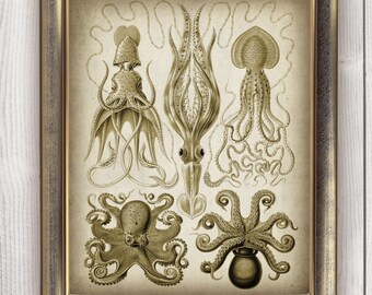 DOWNLOAD Octopus Print, Antique Haeckel Octopus Digital Print, Bathroom Decor, Ocean Sea Life Art, Marine Nautical Printable Wall Art DIY