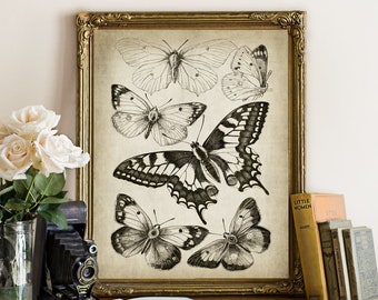 DOWNLOAD BUTTERFLY Print, Digital Vintage Insect Image, Black and White Butterflies Nature, Antique Butterfly Printable Wall Art DIY