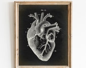Heart Medical Print PRINTABLE Vintage Illustration Human - Etsy