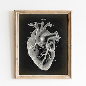 Herz medizinischer Druck, DRUCKBARE Vintage Illustration, menschliches Herz Anatomie Illustration, Wissenschaft Kunst, menschliche Anatomie, Arzt Geschenk, wissenschaftlich