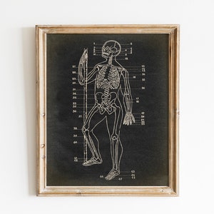 Skeleton Print, PRINTABLE Vintage Illustration, Human Anatomy, Medical Science Art, Anatomical Drawing, Heart Diagram, Anatomy Chart Decor