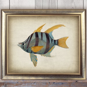 DOWNLOAD FISH Print, Vintage Striped Blue Fish Print, Bathroom Decor, Ocean Sea Life Nature Art, Marine Nautical Printable Wall Art DIY