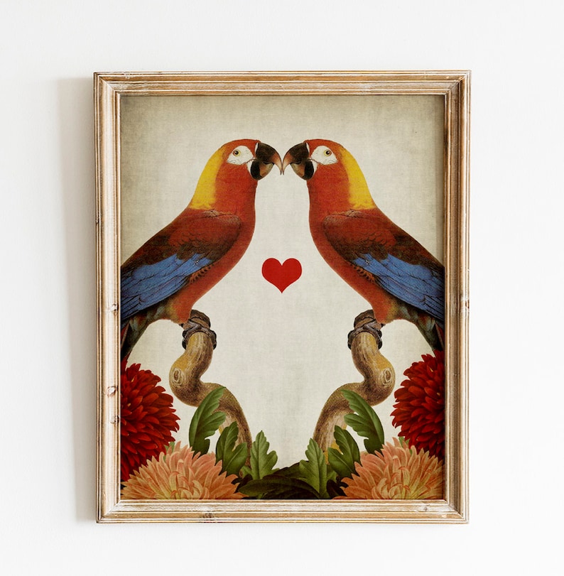 Heart Romantic Valentine/'s Day Art INSTANT DOWNLOAD Bird Love Funny Parrots in Love Print PRINTABLE Vintage Animal Love Illustration