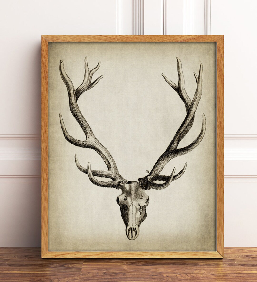 PRINTABLE Deer Antlers Print, Old Animal Skull Head, Digital Download ...