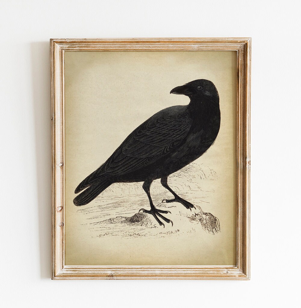 Black Crow Print PRINTABLE Vintage Art Woodland Forest Bird Etsy