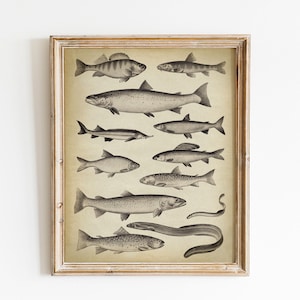 Printable Fish Print, Vintage Art Illustration INSTANT DOWNLOAD, Marine Life, Fish Chart Nautical, Beach Home Wall Art, Sea Animals Wall Art