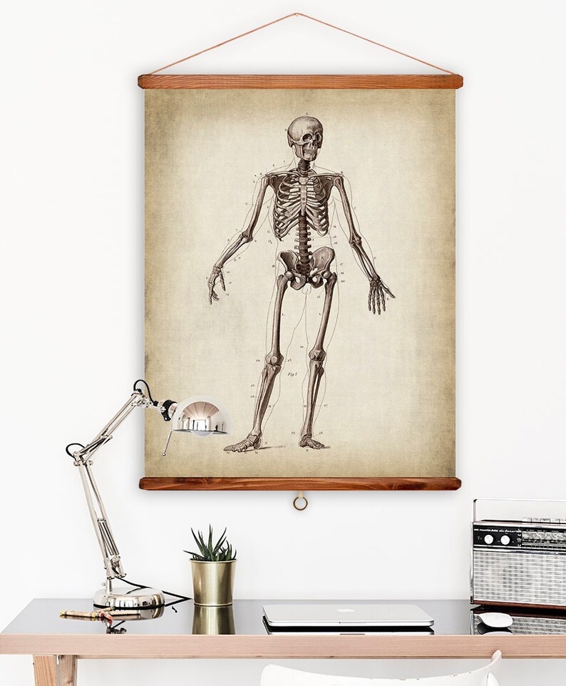 PRINTABLE Large Vintage Anatomy Poster Set of 6 16x20, Anatomy Prints