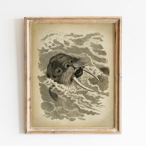 Printable Walrus Print, Vintage Art Illustration INSTANT DOWNLOAD, Marine Life, Nautical Poster, Beach Home Wall Art, Sea Cow Wall Art Decor