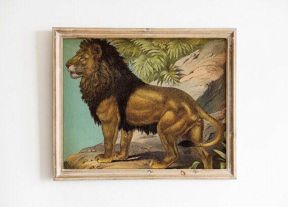Lion Print PRINTABLE Vintage Animal Art African Savanna | Etsy