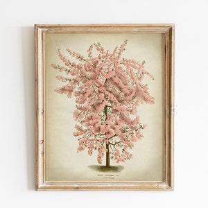 Flowered Tree Print, PRINTABLE Vintage Botanical Illustration, Botanical Print, Botanical Drawing Wall Art, Springtime Home Decor Nature
