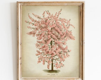 Flowered Tree Print, PRINTABLE Vintage Botanical Illustration, Botanical Print, Botanical Drawing Wall Art, Springtime Home Decor Nature