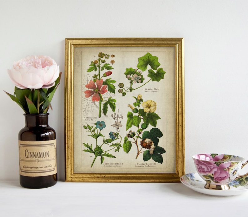 Medicinal Flowers Print SET of 3 PRINTABLE Vintage Botanical Wall Art ...