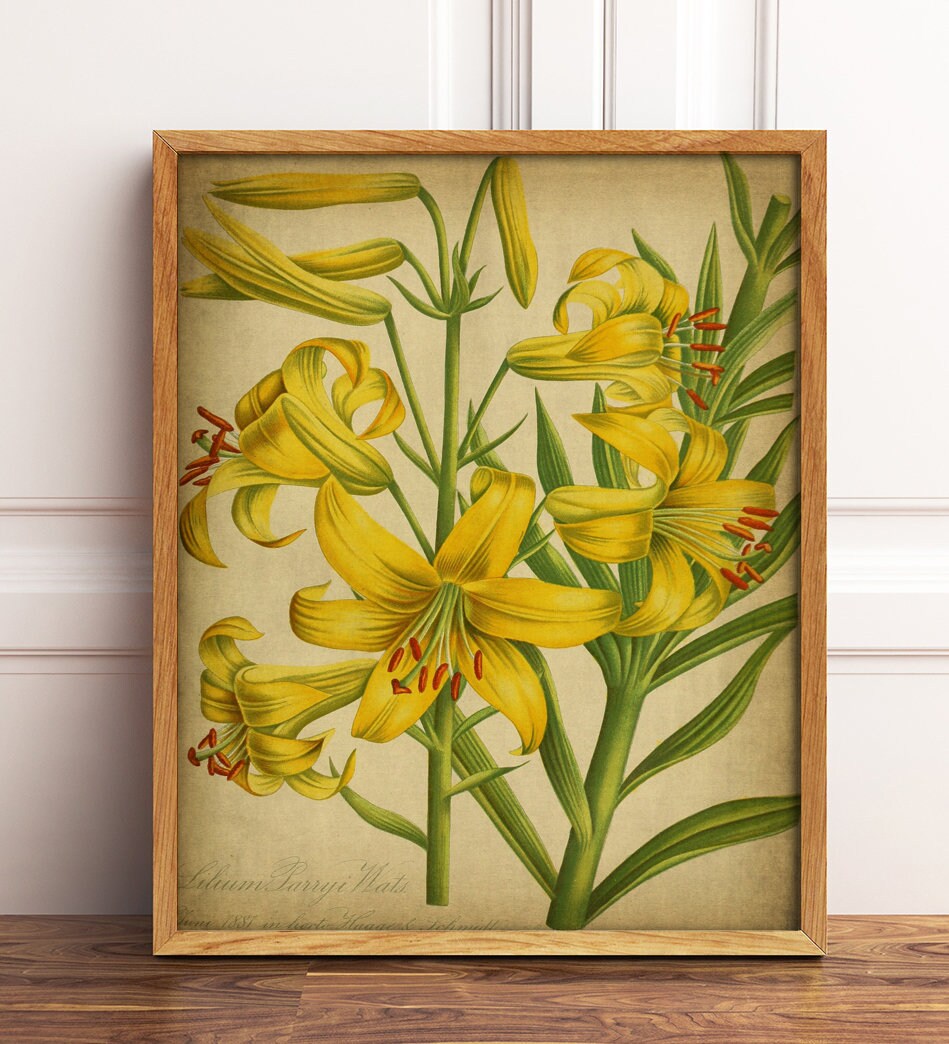 BOTANICAL Print, Yellow Lily Flower Print, Hyacinths Art