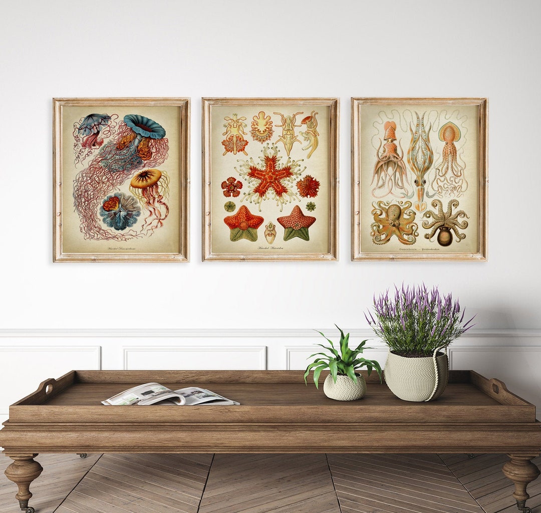Vintage Sea Creatures Print Set Nautical Octopus Jellyfish Starfish 