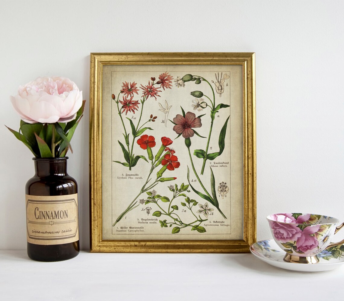 Medicinal Flowers Print SET of 3 PRINTABLE Vintage Botanical Wall Art ...