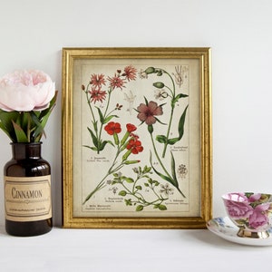 Medicinal Flowers Print SET of 3 PRINTABLE Vintage Botanical Wall Art ...