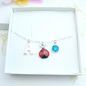 Marienkäfer Armband, Marienkäfer Schmuck, verstellbares Silber Charm Armband, Marienkäfer Geschenke, Insekten Schmuck, süße Geschenke für die beste Freundin, Emaille Charm