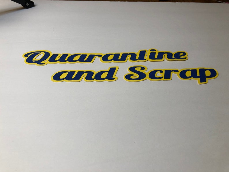 Assembled by you for your scrapbook QUARANTINE AND SCRAP 2 page layout kit Virus Bug