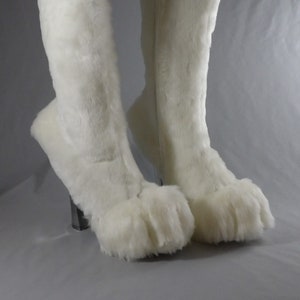 paws shoes
