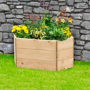 May include: A hexagonal raised garden bed made from natural wood. The bed has three tiers and is filled with a variety of colourful flowers and plants.