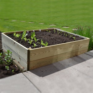 May include: A raised garden bed made of untreated wood with two tiers. The bed is filled with dark soil and has several small green plants growing in it.