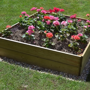 May include: A raised garden bed filled with pink and red flowers. The bed is made of wood and has a gravel border.