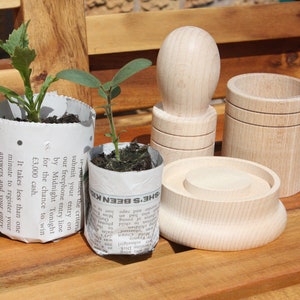 Pu&ograve; includere: Tre contenitori in legno con una parte superiore rotonda e una base cilindrica. I contenitori sono in legno chiaro e hanno una finitura liscia. Due dei contenitori sono vuoti, mentre il terzo &egrave; pieno di una piccola pianta. La pianta sta crescendo in un vaso di giornale.