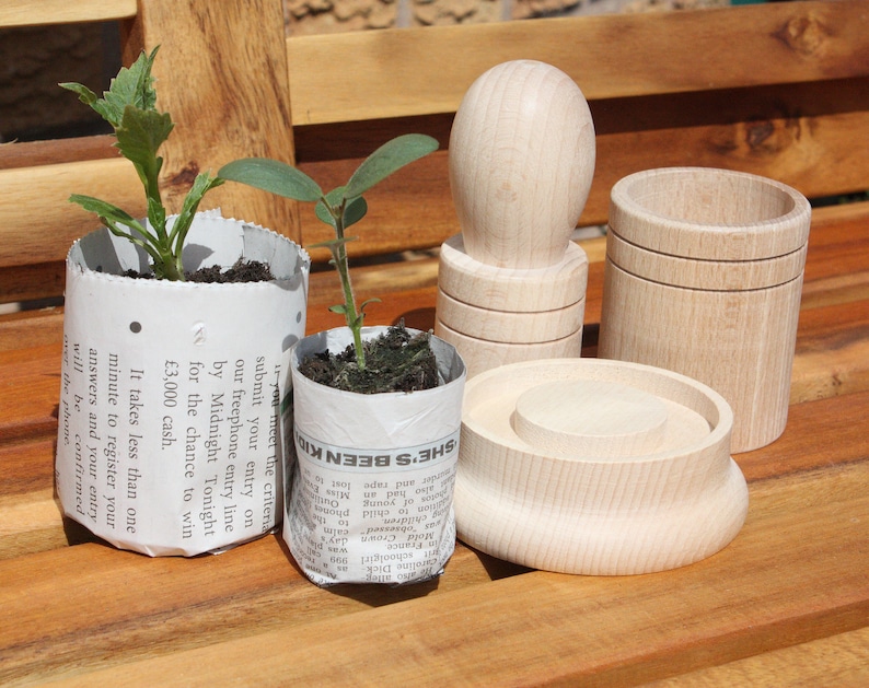 Pu&ograve; includere: Tre contenitori in legno con una parte superiore rotonda e una base cilindrica. I contenitori sono in legno chiaro e hanno una finitura liscia. Due dei contenitori sono vuoti, mentre il terzo &egrave; pieno di una piccola pianta. La pianta sta crescendo in un vaso di giornale.