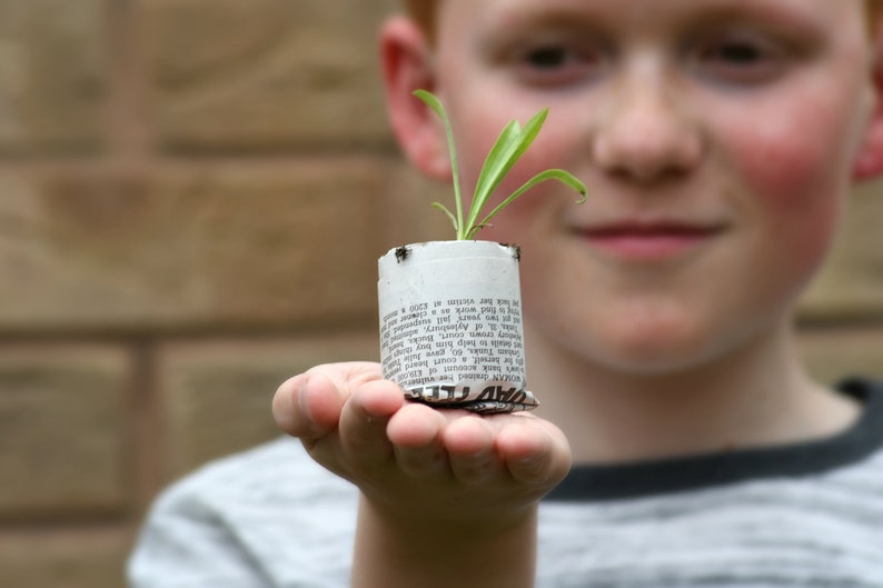 Pu&ograve; includere: Un giovane tiene una piccola pianta in un vaso di carta riciclata. Il vaso &egrave; fatto di carta da giornale e ha del testo stampato su di esso. La pianta ha foglie verdi e sta crescendo nel vaso.