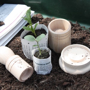Pu&ograve; includere: Tre strumenti in legno per piantare piantine, tra cui un piccolo vaso di legno, un vaso di legno pi&ugrave; grande e uno strumento in legno con manico e un'apertura rotonda. Gli strumenti sono su un letto di terra marrone scuro. Due piantine stanno crescendo in vasi di carta da giornale.