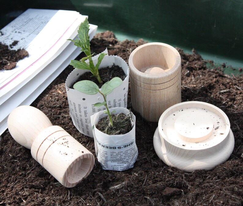 Pu&ograve; includere: Tre strumenti in legno per piantare piantine, tra cui un piccolo vaso di legno, un vaso di legno pi&ugrave; grande e uno strumento in legno con manico e un'apertura rotonda. Gli strumenti sono su un letto di terra marrone scuro. Due piantine stanno crescendo in vasi di carta da giornale.