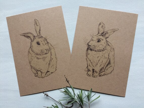 Bunny Notecards