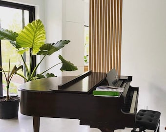 Könnte beinhalten: Ein schwarzer Flügel mit geschlossenem Deckel und einem schwarzen Klavierhocker. Das Klavier steht in einem modernen Raum mit einer großen grünen Pflanze und einer Wand aus Holzlatten.