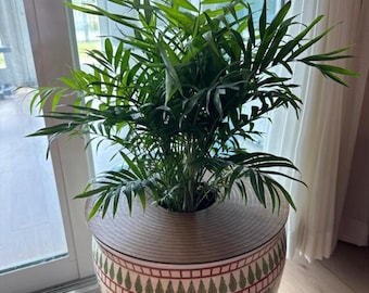 indoor large plants low light SANSI 100W Tall Standing Grow Light With Remote Control (US/CA ONLY)