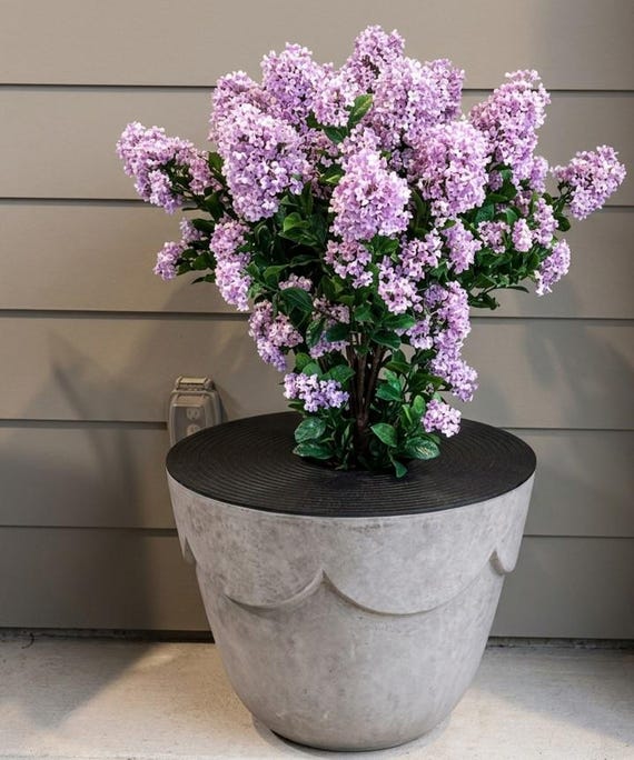 Cat Proof Large Planter Cover - Modern Pot Soil Guard, Decorative